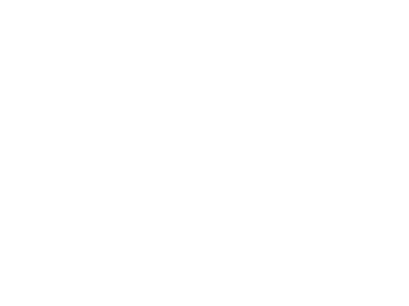 Bosch Service